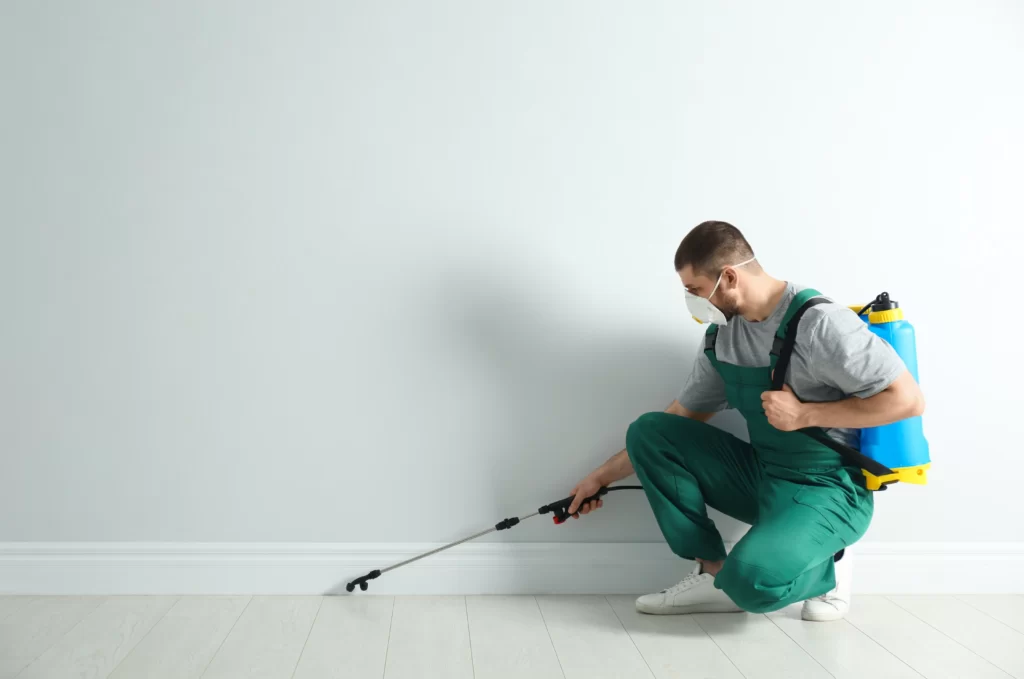 pest control schedule fairview heights il