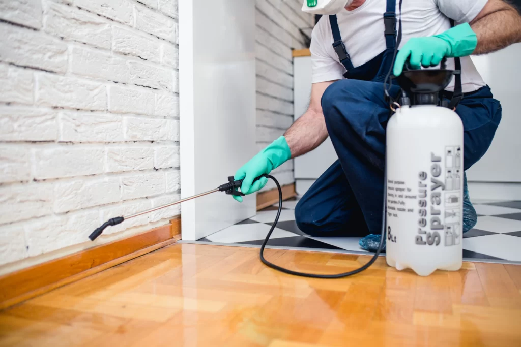 interior pest control fairview heights il