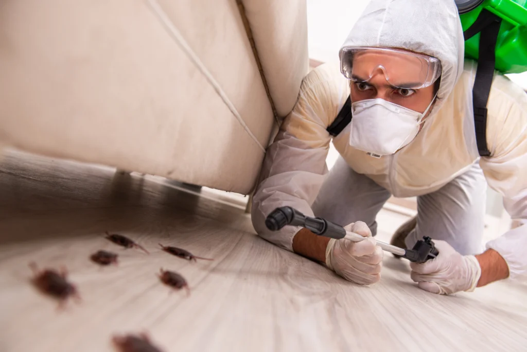 pest control service FAQs Swansea, IL