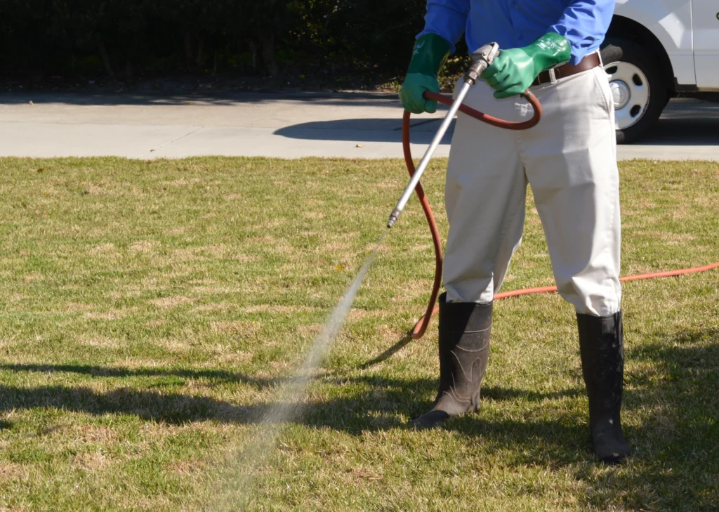 Glen Carbon, IL spring time pest control