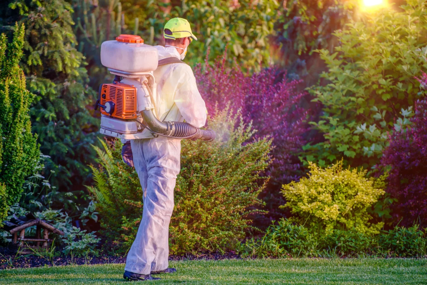 spring time pest control Glen Carbon, IL