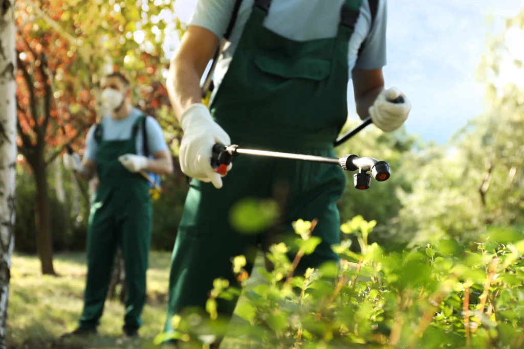 what to know about spring pest control services Glen Carbon, IL