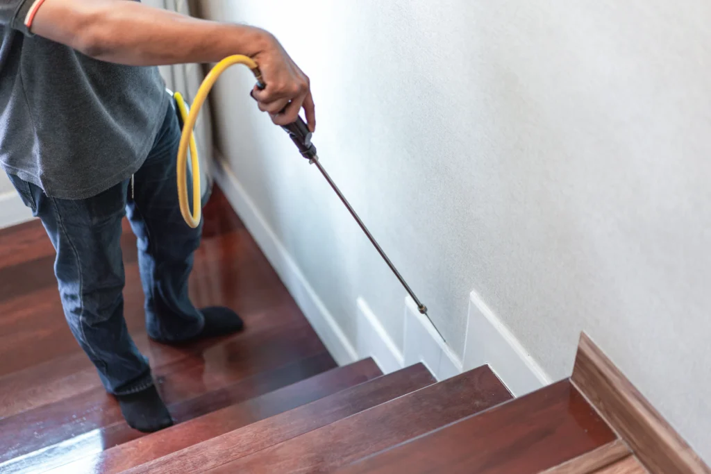 keep your new home safe from pests Glen Carbon, IL