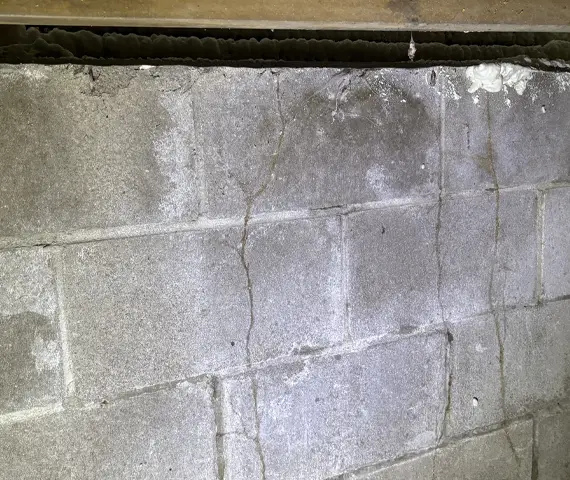 Termite Mud Tubes in a Maryville Home’s Crawlspace