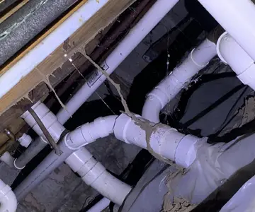 Termite damage in crawl space for Belleville IL pest control inspection